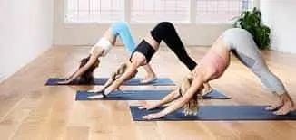 this is the image of yoga classes where some of the ladies practicing of their yoga classes.